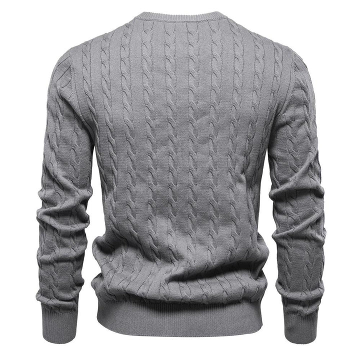 Rogier | Pull Élégant pour Hommes