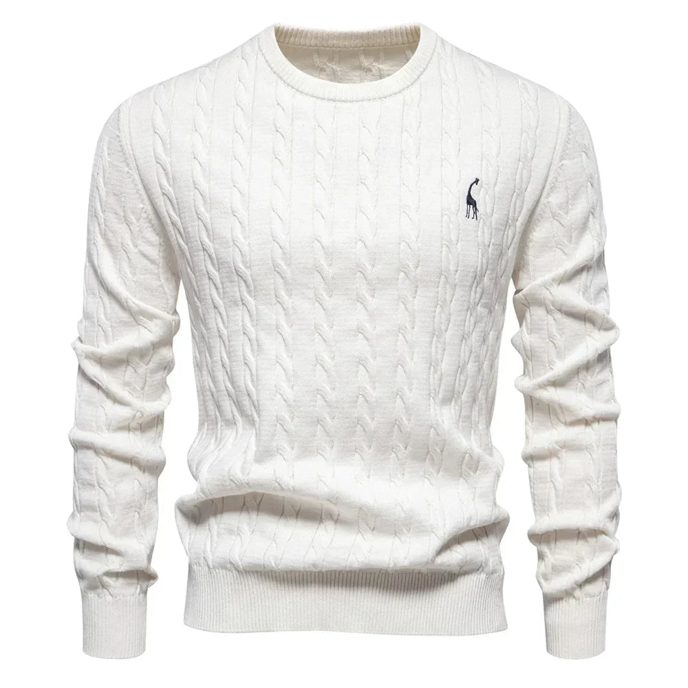 Rogier | Pull Élégant pour Hommes